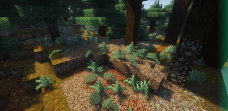 ������� Wild Flora ��� Minecraft 1.20