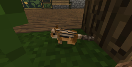������� North American Wildlife ��� Minecraft 1.12