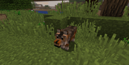 ������� North American Wildlife ��� Minecraft 1.12.2