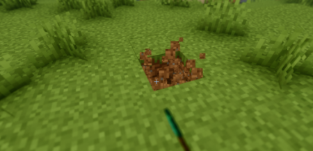 ������� Meticulous ��� Minecraft 26.1.1