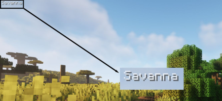 ������� BiomeInfo ��� Minecraft 26.3