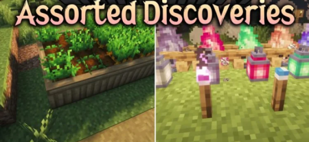 ������� Assorted Discoveries ��� Minecraft 26.2